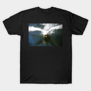 A Swan Attacks T-Shirt